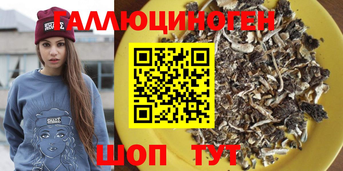 Псилоцибиновые грибы GOLDEN TEACHER Камень-на-Оби